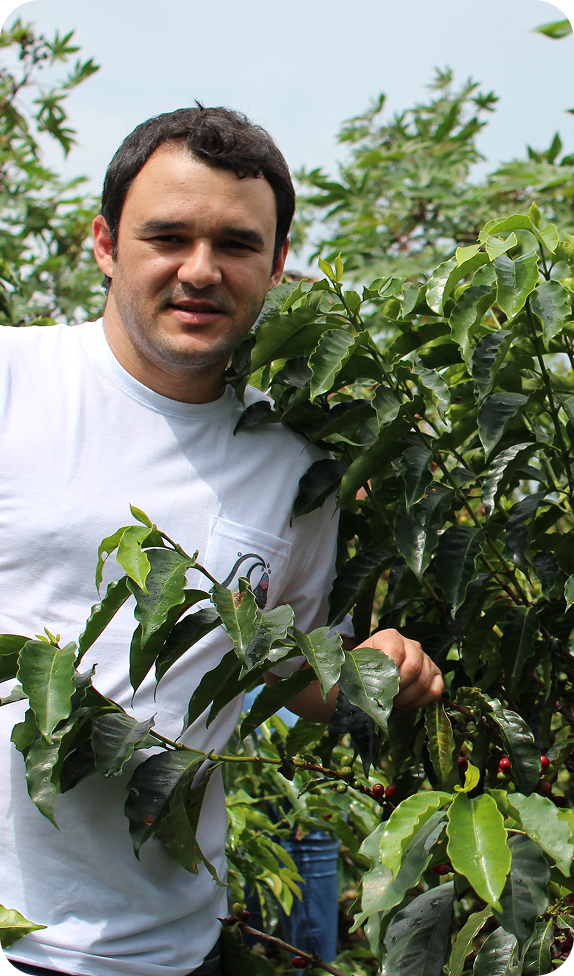 Man in a white t-shirt smiling next to a coffee plant