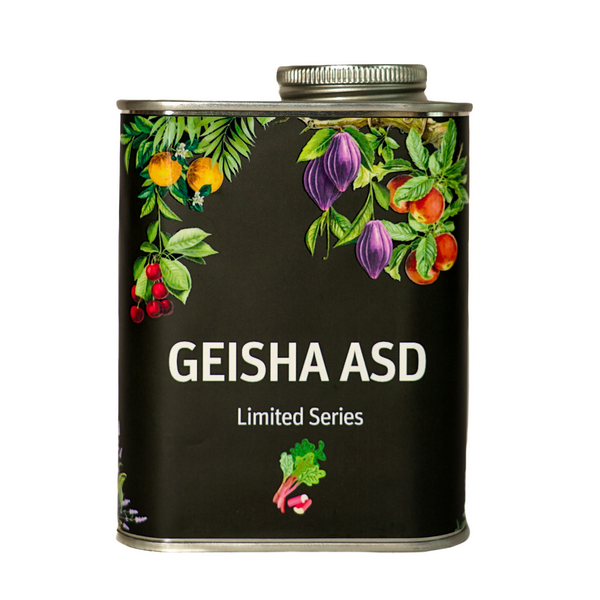 GEISHA ASD Limited Series